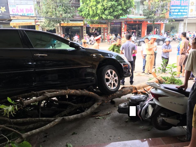 Thanh Hóa: Lùi xe như tên bắn, ô tô ủi đổ cây và hàng loạt xe máy trên vỉa hè, 1 cô cái bị cuốn vào gầm - Ảnh 6.