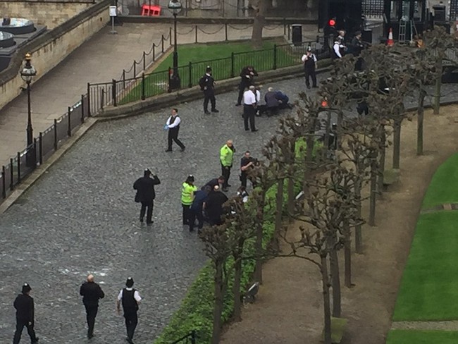 Súng nổ bên ngoài tòa nhà Quốc hội Anh, ít nhất 12 người bị thương - Ảnh 3.