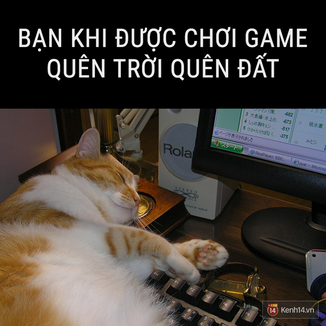 Nhật k&iacute;: Tết kh&ocirc;ng ăn, ngủ th&igrave; l&agrave;m g&igrave;? - Ảnh 7.