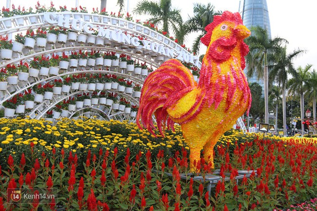 Cận cảnh đường hoa xu&acirc;n rực rỡ b&ecirc;n bờ s&ocirc;ng H&agrave;n Đ&agrave; Nẵng - Ảnh 5.