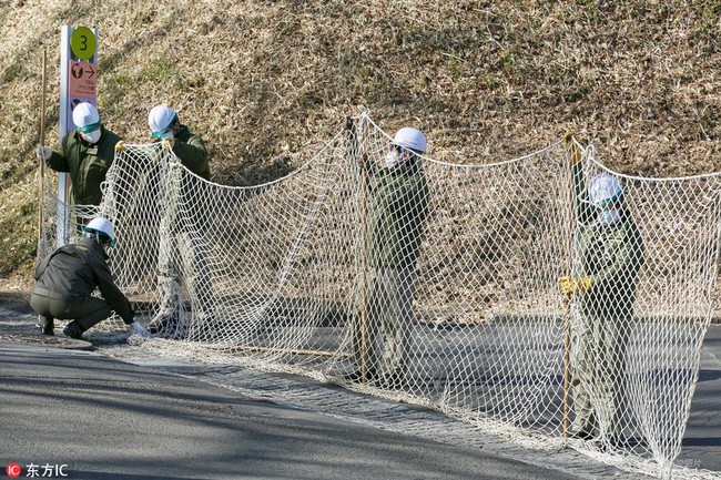 Nhật Bản: Quản lý đội lốt thú dữ để nhân viên diễn tập Tinh tinh sổng chuồng trong sở thú - Ảnh 5.