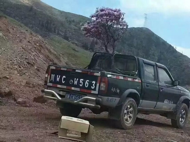 Trung Quốc: Kh&aacute;ch tham quan hồn nhi&ecirc;n bẻ c&agrave;nh c&acirc;y nướng thịt giữa rừng hoa đỗ quy&ecirc;n tuyệt đẹp - Ảnh 5.