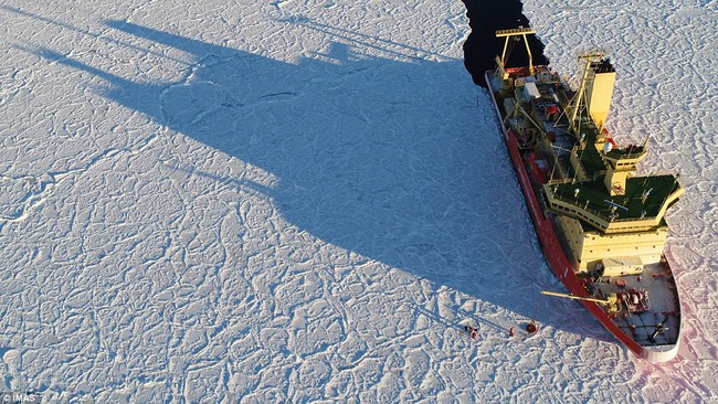 Băng vảy rồng - hiện tượng tự nhiên siêu hiếm lại xuất hiện tại Nam Cực sau 10 năm mất tích - Ảnh 3.
