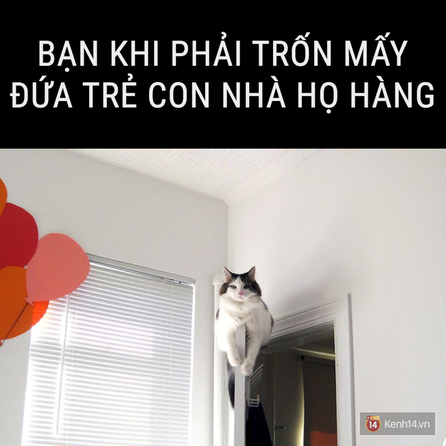 Nhật k&iacute;: Tết kh&ocirc;ng ăn, ngủ th&igrave; l&agrave;m g&igrave;? - Ảnh 9.