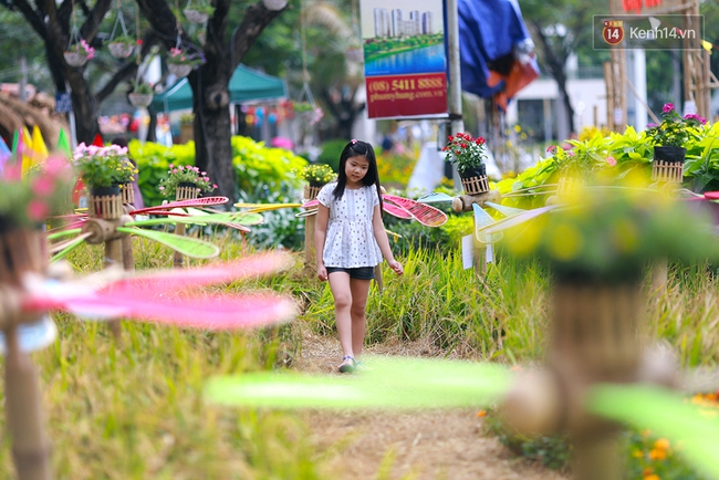 Kh&ocirc;ng chỉ c&oacute; đường hoa Nguyễn Huệ, S&agrave;i G&ograve;n c&ograve;n c&oacute; một con đường hoa xu&acirc;n kh&aacute;c rất đẹp! - Ảnh 3.