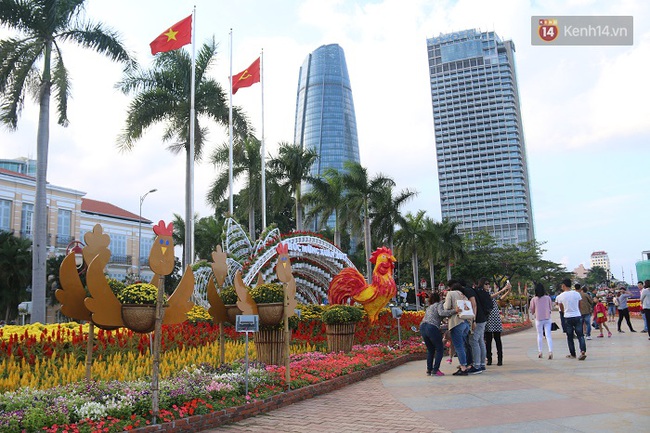 Cận cảnh đường hoa xu&acirc;n rực rỡ b&ecirc;n bờ s&ocirc;ng H&agrave;n Đ&agrave; Nẵng - Ảnh 4.