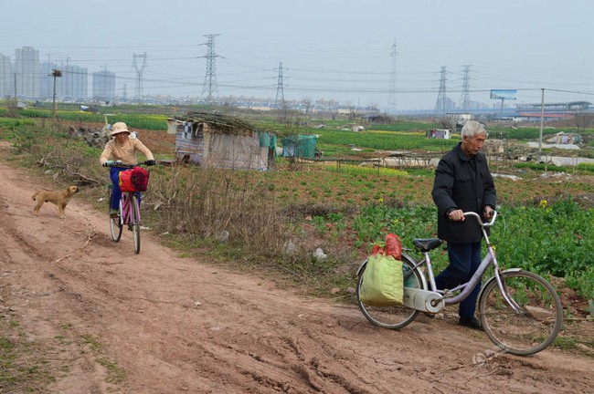 Cuộc ly hôn tập thể của hơn 160 cặp đôi ở làng quê Trung Quốc và nguyên nhân thật sự phía sau - Ảnh 1.