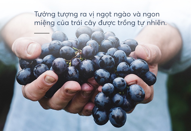 Hoá ra, có những điều rất nhỏ, nhưng mang đến niềm hạnh phúc rất to  - Ảnh 9.