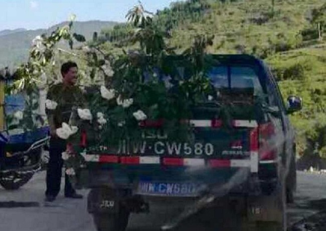 Trung Quốc: Kh&aacute;ch tham quan hồn nhi&ecirc;n bẻ c&agrave;nh c&acirc;y nướng thịt giữa rừng hoa đỗ quy&ecirc;n tuyệt đẹp - Ảnh 6.