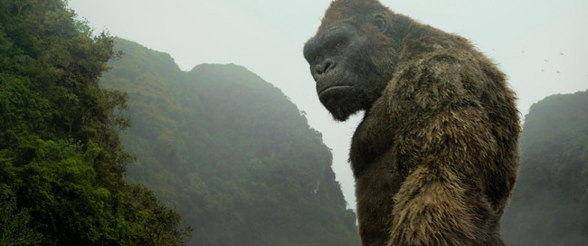 After – credit trong “Kong: Skull Island” hé lộ chìa khóa dẫn tới vũ trụ quái vật. - Ảnh 1.