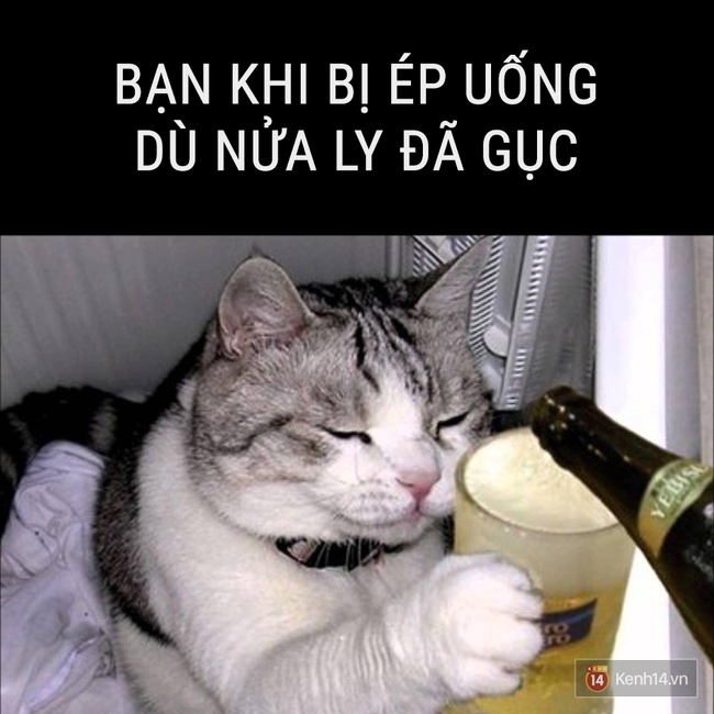 Nhật k&iacute; bựa: Tết kh&ocirc;ng ăn, ngủ th&igrave; l&agrave;m g&igrave;? - Ảnh 11.
