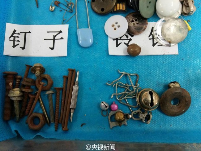 Bạn kh&ocirc;ng thể h&igrave;nh dung được con m&igrave;nh sẽ nuốt phải những g&igrave; chỉ sau v&agrave;i gi&acirc;y bất cẩn - Ảnh 5.