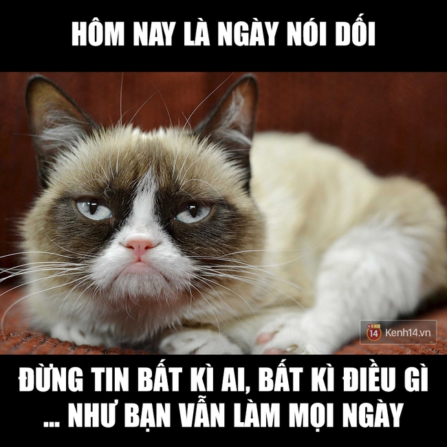H&ocirc;m nay l&agrave; Ng&agrave;y n&oacute;i dối, phải tỉnh t&aacute;o v&agrave; đừng tin bất kỳ ai! Nhớ đ&oacute;! - Ảnh 19.