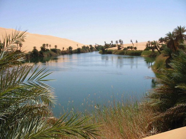 Ai mà ngờ được giữa sa mạc Sahara khô cằn lại có một nơi tràn ngập cây xanh bóng mát như thế này - Ảnh 1.