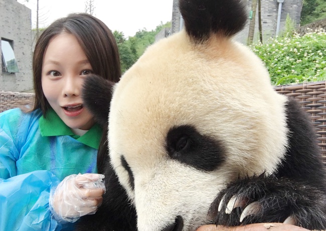 Ch&uacute; gấu tr&uacute;c th&iacute;ch chụp selfie nhất thế giới sẽ khiến bạn y&ecirc;u ngay từ c&aacute;i nh&igrave;n đầu ti&ecirc;n - Ảnh 6.