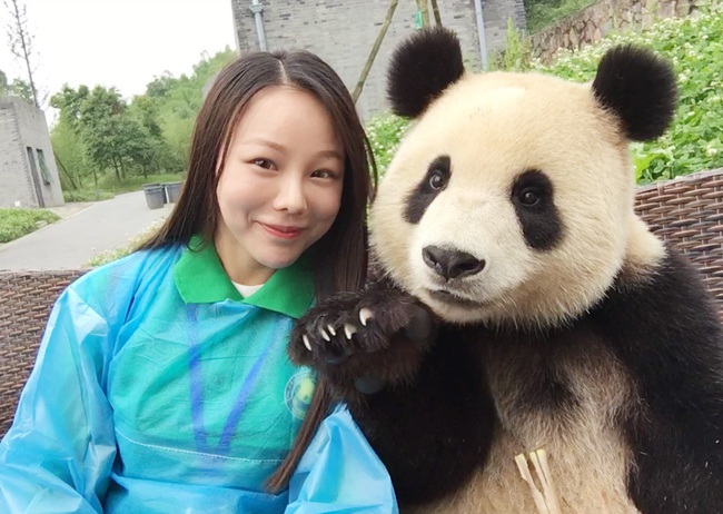 Ch&uacute; gấu tr&uacute;c th&iacute;ch chụp selfie nhất thế giới sẽ khiến bạn y&ecirc;u ngay từ c&aacute;i nh&igrave;n đầu ti&ecirc;n - Ảnh 1.