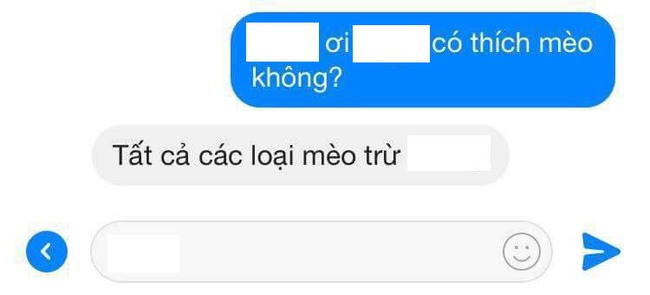 Xu hướng thả th&iacute;nh mới của giới trẻ: Bạn c&oacute; th&iacute;ch m&egrave;o kh&ocirc;ng? - Ảnh 3.