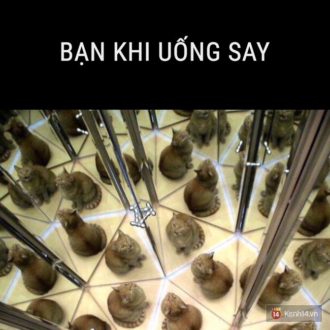 Nhật k&iacute;: Tết kh&ocirc;ng ăn, ngủ th&igrave; l&agrave;m g&igrave;? - Ảnh 13.