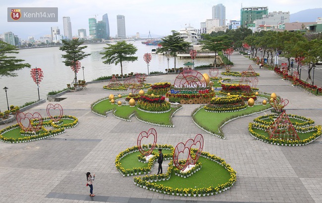 Cận cảnh đường hoa xu&acirc;n rực rỡ b&ecirc;n bờ s&ocirc;ng H&agrave;n Đ&agrave; Nẵng - Ảnh 9.