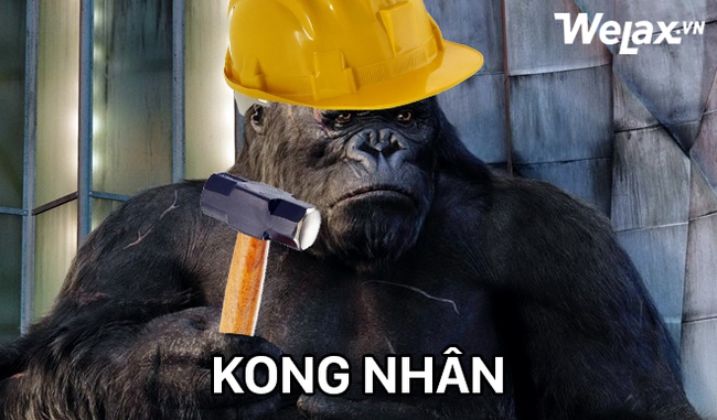 Tha cho Kong đi, đừng chế nữa, cười muốn phát điên rồi đây! - Ảnh 11.