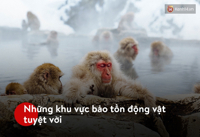 12 điều tuyệt vời khiến Nhật Bản trở thành quốc gia đáng sống nhất thế giới - Ảnh 7.