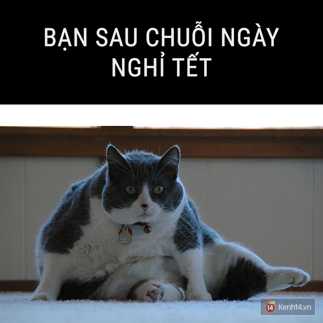 Nhật k&iacute;: Tết kh&ocirc;ng ăn, ngủ th&igrave; l&agrave;m g&igrave;? - Ảnh 17.