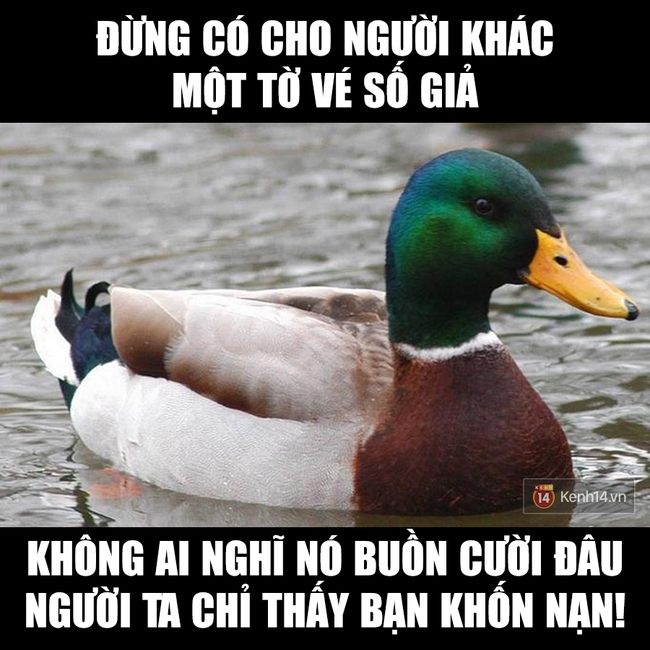 Hôm nay là Ngày nói dối, phải tỉnh táo và đừng tin bất kỳ ai! Nhớ đó! - Ảnh 25.