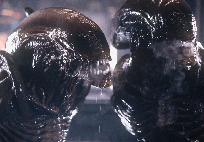 Phải chăng đ&acirc;y l&agrave; h&igrave;nh h&agrave;i thực sự của người ngo&agrave;i h&agrave;nh tinh? - Ảnh 1.