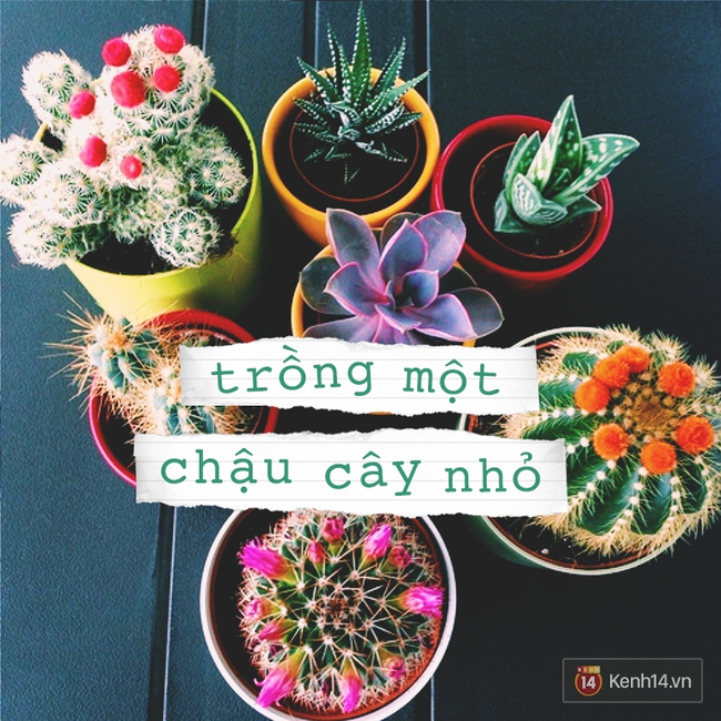 Nhỏ thôi, nhưng những hành động này sẽ giúp cuộc sống bạn đỡ nhạt hơn rất nhiều! - Ảnh 1.