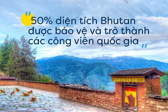 Nhân ngày Quốc tế Hạnh phúc, cùng ghé thăm đất nước được mệnh danh hạnh phúc nhất thế giới - Ảnh 5.