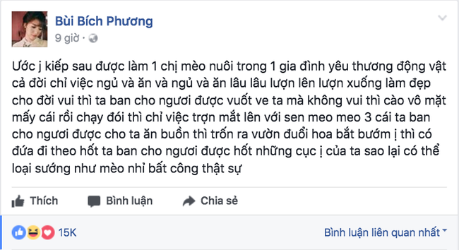 Không còn nghi ngờ gì nữa, đây đích thị là những thánh lầy hàng đầu Vbiz! - Ảnh 6.