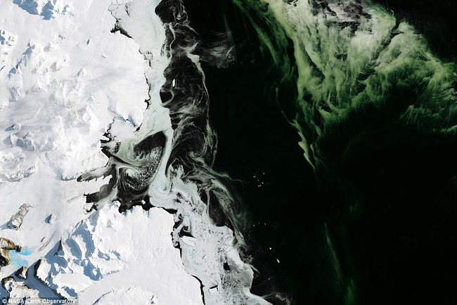 Điều bí ẩn nào khiến cho lớp băng ở Nam Cực có màu xanh? - Ảnh 1.