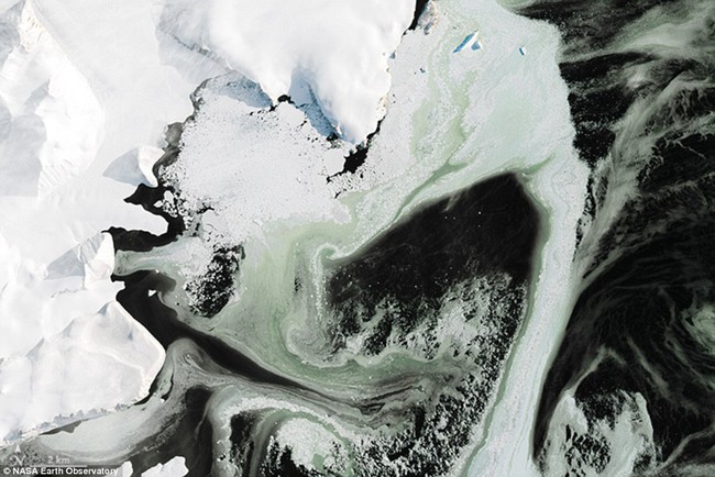 Điều bí ẩn nào khiến cho lớp băng ở Nam Cực có màu xanh? - Ảnh 3.