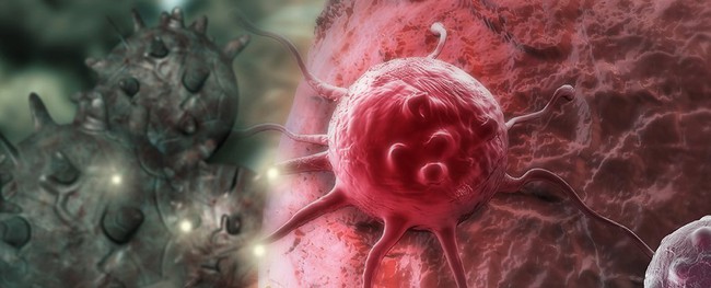 Bắt tế bào ung thư tự hủy - đột phá trong điều trị vấn nạn của thế kỷ - Ảnh 2.