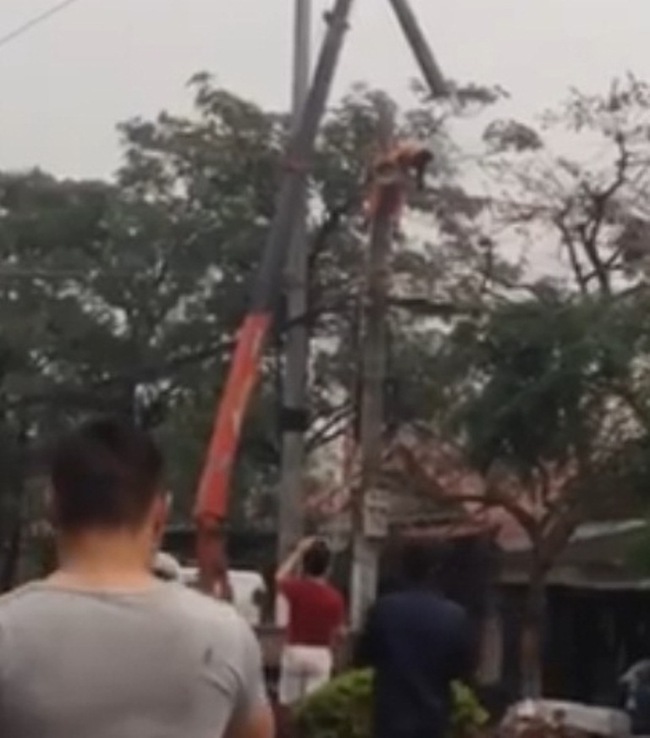 Người đ&agrave;n &ocirc;ng bị điện cao thế ph&oacute;ng bốc ch&aacute;y tr&ecirc;n cột điện - Ảnh 1.