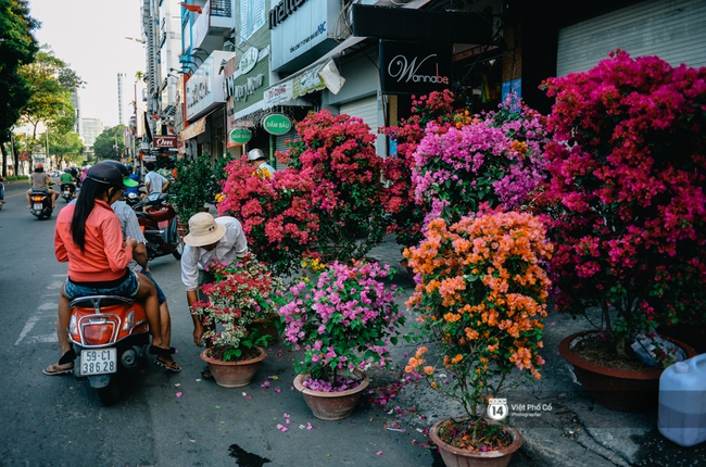 Người dân tràn ra đường mua hoa đại hạ giá chiều 30 Tết ở Sài Gòn - Ảnh 1.