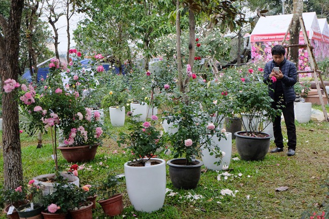 Kh&aacute;ch tham quan vắng đến bất ngờ trong ng&agrave;y cuối của lễ hội hoa hồng Bulgaria - Ảnh 3.