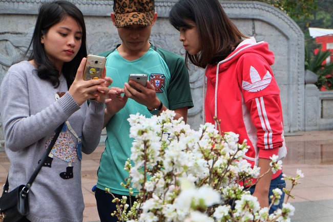Cận cảnh hàng nghìn cành hoa anh đào được cắm tại tượng đài Lý Thái Tổ - Ảnh 14.