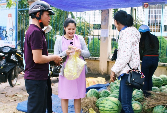 Nông dân Quảng Ngãi phải đem dưa hấu đổ cho bò ăn: Cần lắm sự chung tay giải cứu của cộng đồng - Ảnh 11.