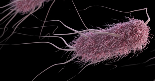 Chuyên gia Harvard: Ác mộng vi khuẩn kháng kháng sinh đang trở nên nguy hiểm hơn chúng ta tưởng - Ảnh 1.