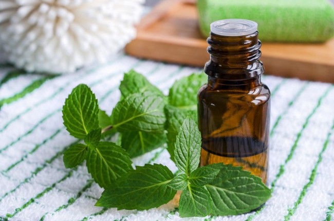 C&oacute; cả một hội anti lo&agrave;i sinh vật đ&aacute;ng sợ nhất thế giới n&agrave;y v&agrave; đ&acirc;y l&agrave; c&aacute;ch để ch&uacute;ng lu&ocirc;n tr&aacute;nh xa bạn - Ảnh 1.