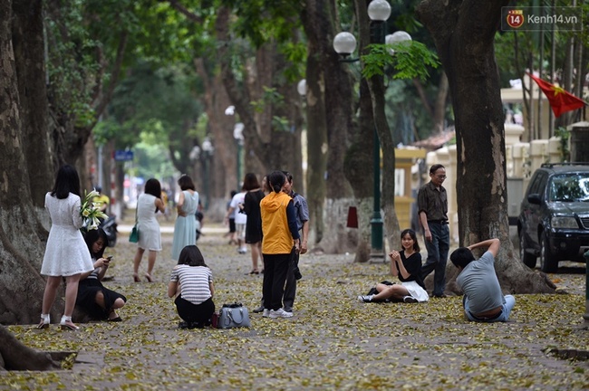 Cuối tuần, chị em áo dài váy hoa kéo nhau đi pose ảnh ở con đường lá vàng Phan Đình Phùng - Ảnh 1.