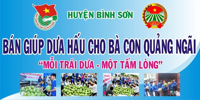 Nông dân Quảng Ngãi phải đem dưa hấu đổ cho bò ăn: Cần lắm sự chung tay giải cứu của cộng đồng - Ảnh 10.