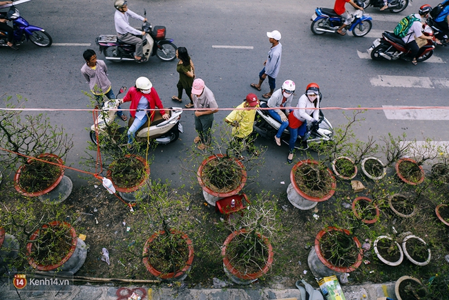 Hoa xu&acirc;n đ&atilde; cập bến B&igrave;nh Đ&ocirc;ng, mang Tết về rất gần với S&agrave;i G&ograve;n - Ảnh 4.