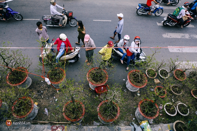 Hoa xuân đã cập bến Bình Đông, mang Tết về rất gần với Sài Gòn - Ảnh 4.