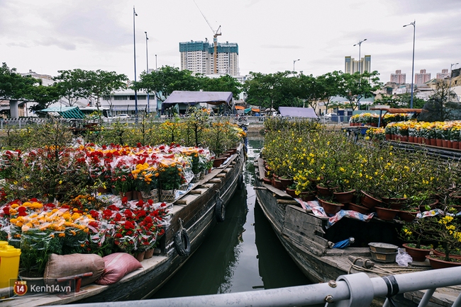 Hoa xuân đã cập bến Bình Đông, mang Tết về rất gần với Sài Gòn - Ảnh 3.