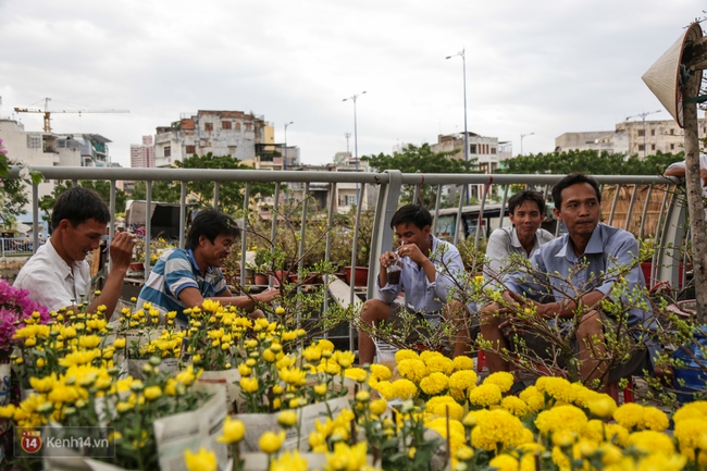 Hoa xuân đã cập bến Bình Đông, mang Tết về rất gần với Sài Gòn - Ảnh 14.