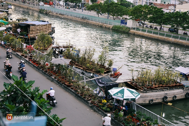Hoa xu&acirc;n đ&atilde; cập bến B&igrave;nh Đ&ocirc;ng, mang Tết về rất gần với S&agrave;i G&ograve;n - Ảnh 2.