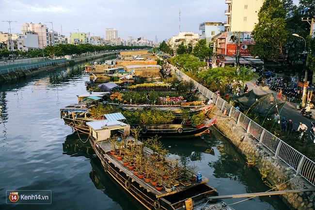 Hoa xu&acirc;n đ&atilde; cập bến B&igrave;nh Đ&ocirc;ng, mang Tết về rất gần với S&agrave;i G&ograve;n - Ảnh 1.