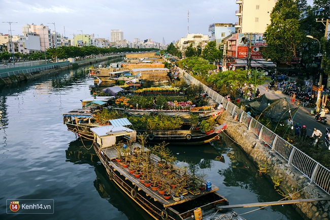 Hoa xuân đã cập bến Bình Đông, mang Tết về rất gần với Sài Gòn - Ảnh 1.